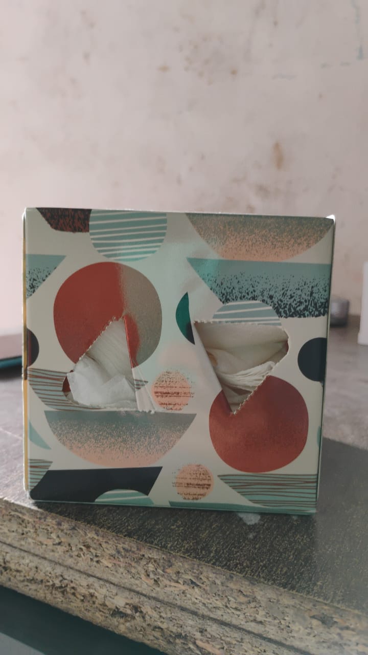 Tissues Cube Box – Stylish and Practical Tissue Holder for Home & Office (50 Pcs Set Approx) Tissues Cube Box – Stylish and Practical Tissue Holder for Home & Office (50 Pcs Set Approx)